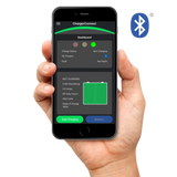 Lester Summit Series II Battery Charger 650W 36/48V with Gray SB175 Plug