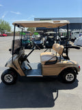 2008 EZGO TXT 2 Passenger Electric Golf Cart
